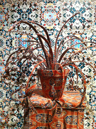 Debbie lawson, Spider/Pallant House