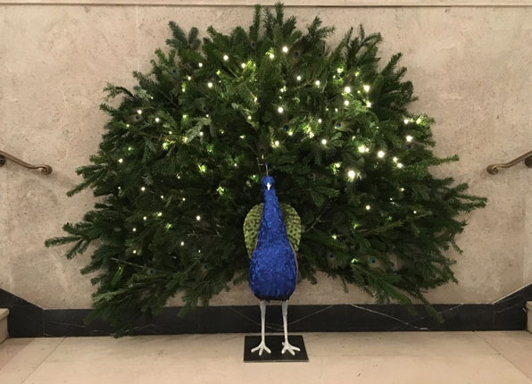 Debbie Lawson, Christmas Tree Peacock