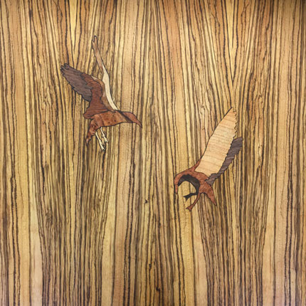 Debbie Lawson, Fighting Gulls