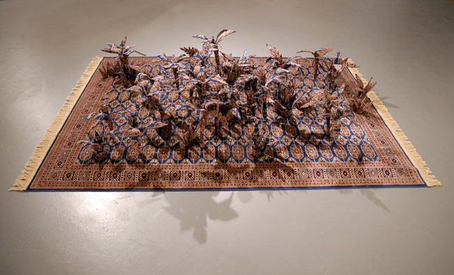Debbie Lawson, Oasis