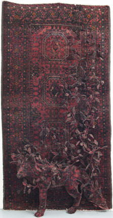 Debbie Lawson, Fox and Ivy