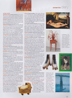 Debbie Lawson, Interiors article