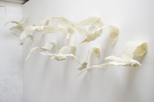 Debbie Lawson, Seagulls and the Sun